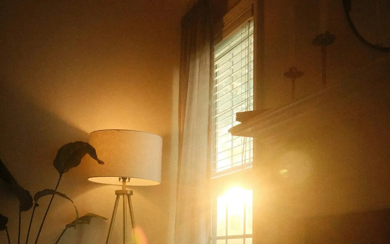 Morning sunlight streaming through a window into a calm room